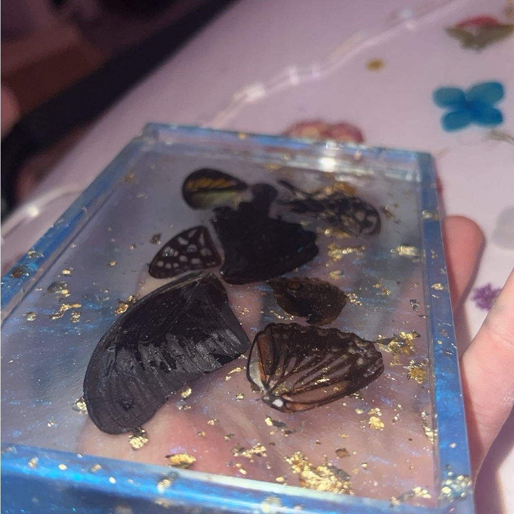 Blue tray with gold flakes and real butterfly wings